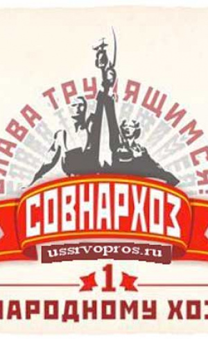 Почему идея введения совнархозов оказалась ошибочной?