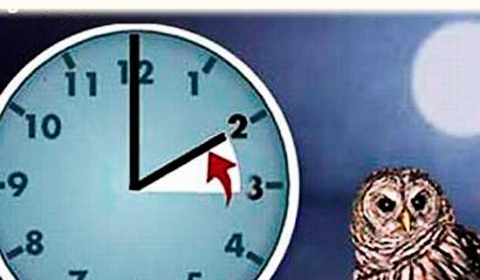 Когда в СССР стали переводить часы на летнее время?