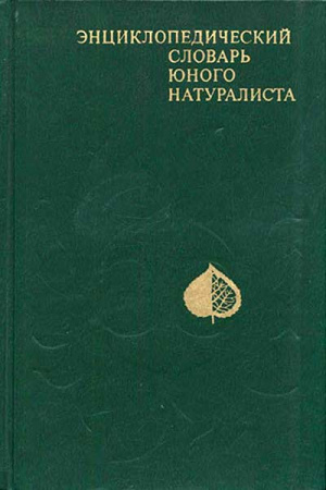 Энциклопедический словарь юного натуралиста (Рогожкин) 1981 год - старые учебники