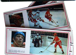  Чемпионат мира по хоккею с шайбой 1974 года